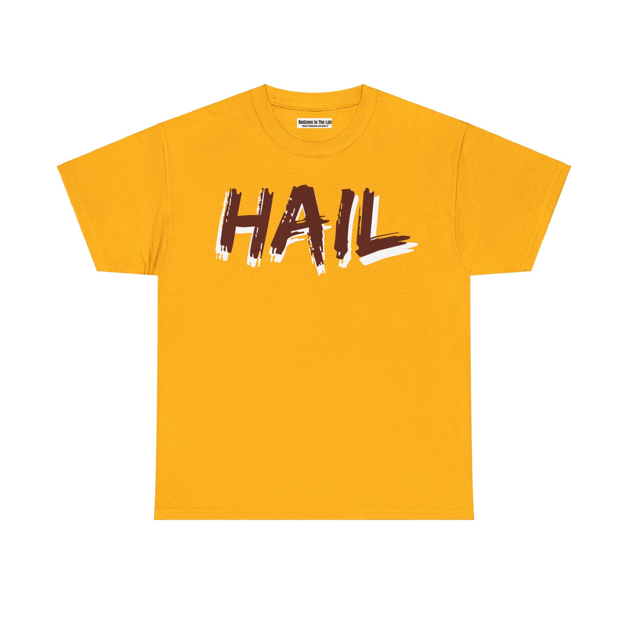 Hail Unisex Heavy Cotton Tee